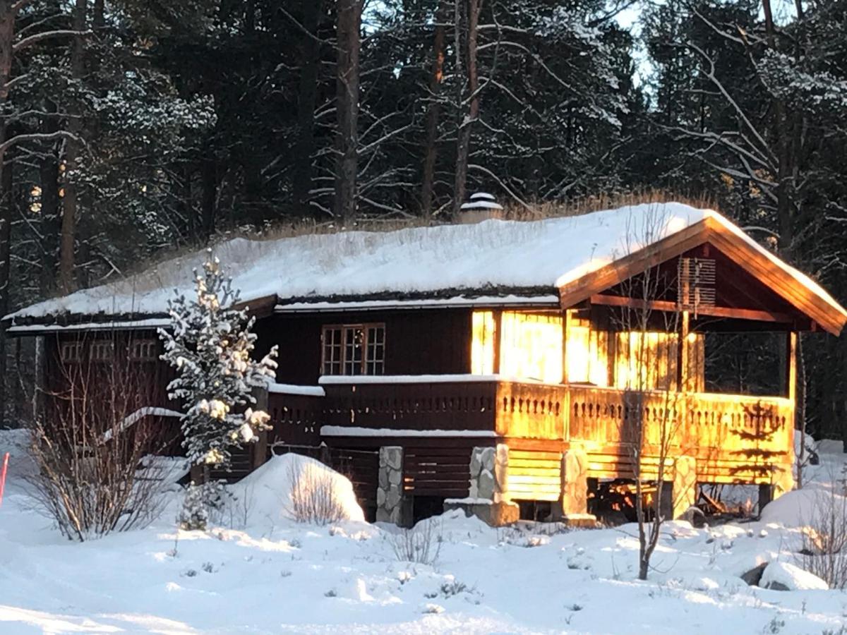 Batsto Camping Elga 외부 사진